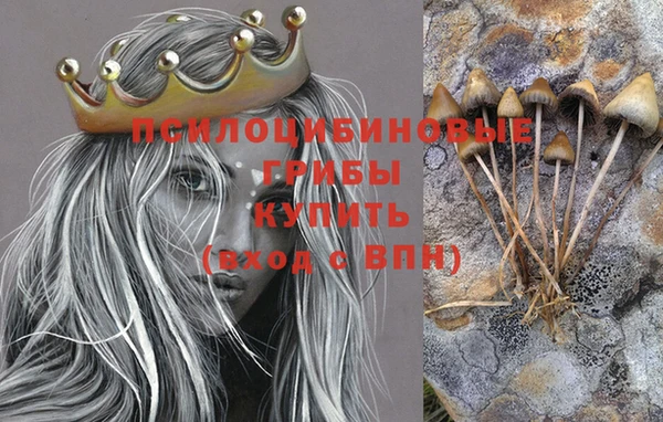 скорость Кинешма