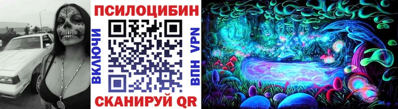 Псилоцибиновые грибы прущие грибы  Купить  Валдай 